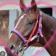 ヒメ日記 2025/12/06 15:04 投稿 本上 松戸おかあさん