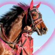 ヒメ日記 2025/12/06 17:05 投稿 本上 松戸おかあさん