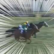 ヒメ日記 2025/12/06 17:15 投稿 本上 松戸おかあさん