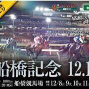 ヒメ日記 2025/12/09 15:15 投稿 本上 松戸おかあさん