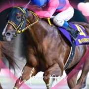 ヒメ日記 2025/12/12 23:04 投稿 本上 松戸おかあさん