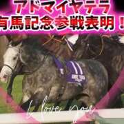 ヒメ日記 2025/12/12 23:35 投稿 本上 松戸おかあさん