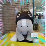 本上 新小岩、石庭の横浜流星君似のＳ君 松戸おかあさん