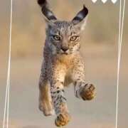 本上 自然起床の後荷物持ち 松戸おかあさん