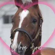 本上 ハリオ君到着🎶 松戸おかあさん