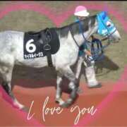 ヒメ日記 2025/12/20 13:05 投稿 本上 松戸おかあさん