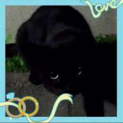 ヒメ日記 2025/12/23 10:05 投稿 本上 松戸おかあさん