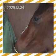 ヒメ日記 2025/12/25 11:19 投稿 本上 松戸おかあさん