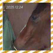 ヒメ日記 2025/12/25 11:25 投稿 本上 松戸おかあさん