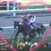 ヒメ日記 2025/12/28 16:45 投稿 本上 松戸おかあさん