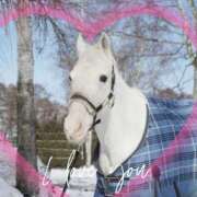 ヒメ日記 2026/01/01 16:55 投稿 本上 松戸おかあさん