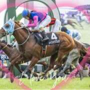 ヒメ日記 2026/01/07 12:46 投稿 本上 松戸おかあさん