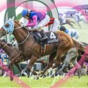 ヒメ日記 2026/01/07 12:55 投稿 本上 松戸おかあさん