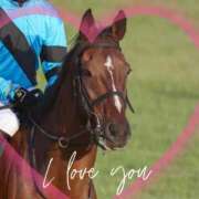 ヒメ日記 2026/01/12 11:55 投稿 本上 松戸おかあさん