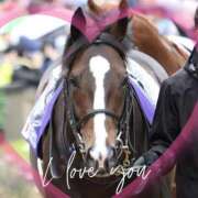 ヒメ日記 2026/01/12 12:15 投稿 本上 松戸おかあさん