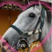 ヒメ日記 2026/01/14 11:47 投稿 本上 松戸おかあさん