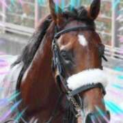 ヒメ日記 2026/01/17 14:05 投稿 本上 松戸おかあさん