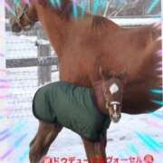 ヒメ日記 2026/01/17 14:32 投稿 本上 松戸おかあさん