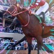 ヒメ日記 2026/01/24 14:25 投稿 本上 松戸おかあさん