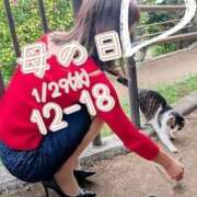 ヒメ日記 2026/01/25 12:25 投稿 本上 松戸おかあさん