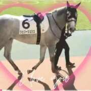 ヒメ日記 2026/02/01 14:01 投稿 本上 松戸おかあさん