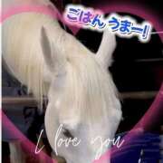 ヒメ日記 2026/02/05 00:56 投稿 本上 松戸おかあさん