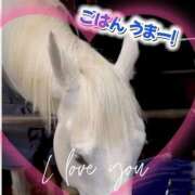 ヒメ日記 2026/02/05 01:05 投稿 本上 松戸おかあさん