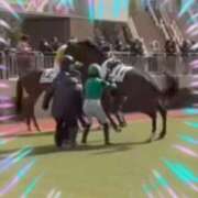 ヒメ日記 2026/02/05 15:34 投稿 本上 松戸おかあさん