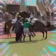 ヒメ日記 2026/02/05 15:35 投稿 本上 松戸おかあさん