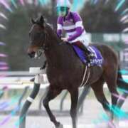 ヒメ日記 2026/02/07 12:25 投稿 本上 松戸おかあさん