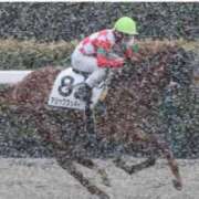 ヒメ日記 2026/02/07 18:25 投稿 本上 松戸おかあさん