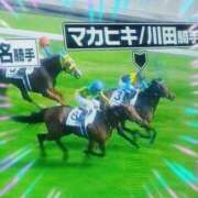 ヒメ日記 2026/02/08 11:37 投稿 本上 松戸おかあさん