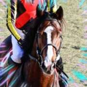 ヒメ日記 2026/02/08 12:46 投稿 本上 松戸おかあさん