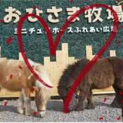 ヒメ日記 2026/02/10 22:23 投稿 本上 松戸おかあさん