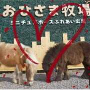 ヒメ日記 2026/02/10 22:35 投稿 本上 松戸おかあさん