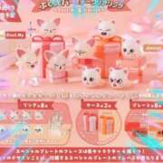 ヒメ日記 2026/02/11 11:15 投稿 本上 松戸おかあさん