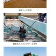 ヒメ日記 2026/02/11 18:15 投稿 本上 松戸おかあさん