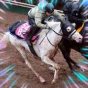 ヒメ日記 2026/02/11 18:45 投稿 本上 松戸おかあさん