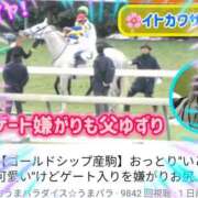 ヒメ日記 2026/02/13 11:09 投稿 本上 松戸おかあさん