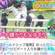 ヒメ日記 2026/02/13 11:15 投稿 本上 松戸おかあさん