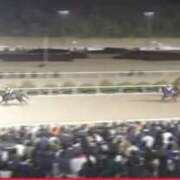 ヒメ日記 2026/02/13 11:35 投稿 本上 松戸おかあさん