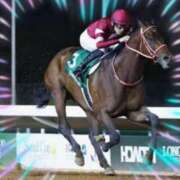 ヒメ日記 2026/02/15 10:41 投稿 本上 松戸おかあさん