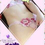 ヒメ日記 2026/02/17 17:05 投稿 本上 松戸おかあさん