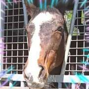 ヒメ日記 2026/02/22 12:05 投稿 本上 松戸おかあさん