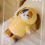 ヒメ日記 2026/02/24 12:56 投稿 本上 松戸おかあさん