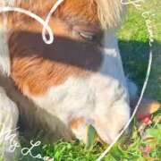 ヒメ日記 2026/02/24 19:05 投稿 本上 松戸おかあさん