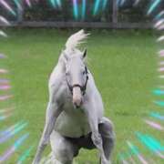 ヒメ日記 2026/02/25 08:35 投稿 本上 松戸おかあさん