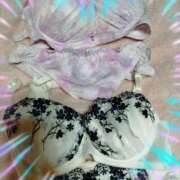 ヒメ日記 2026/02/27 09:55 投稿 本上 松戸おかあさん