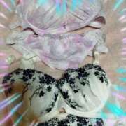 ヒメ日記 2026/02/27 10:05 投稿 本上 松戸おかあさん