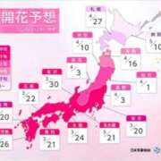 ヒメ日記 2026/03/02 08:54 投稿 本上 松戸おかあさん